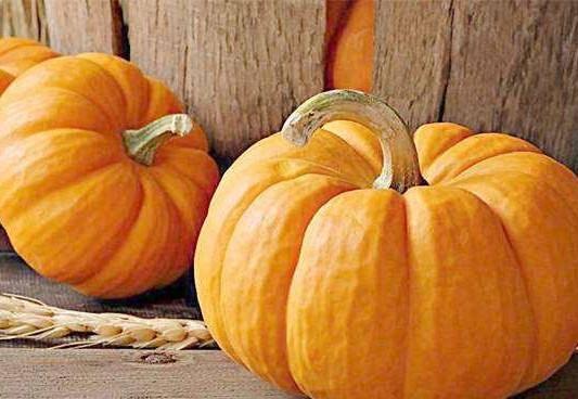 南体吃瓜事件,揭秘校园网络舆论风波背后的真相