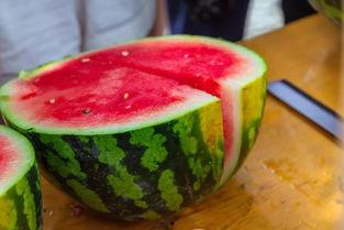 财大学吃瓜,揭秘校园里的那些“瓜”