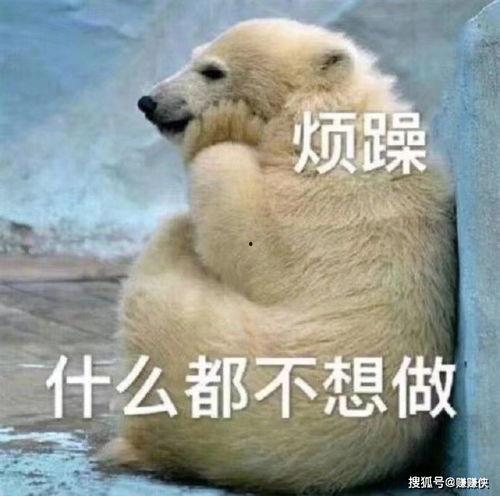 吃瓜群众瓜哥图片表情包,吃瓜群众的欢乐源泉