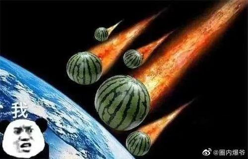 带你吃瓜阳间乐器,带你吃瓜探索音乐世界的奇妙之旅