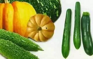 吃秋瓜唯美视频,一场视觉与味蕾的盛宴