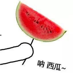 济宁北湖俱乐部吃瓜,瓜田李下，揭秘美食与娱乐的盛宴