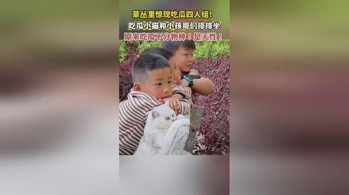 吃 瓜 三 人 组,揭秘娱乐圈背后的故事