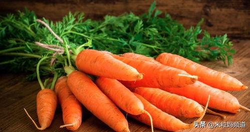 河口胡萝卜吃瓜