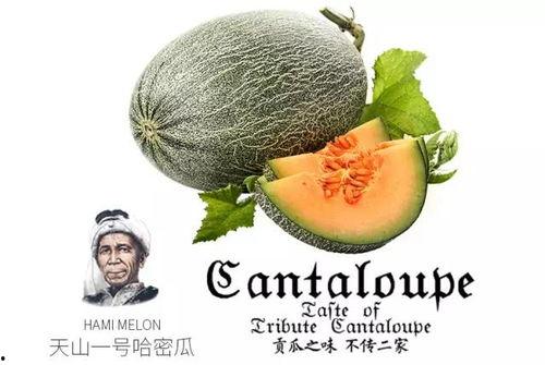 三兄妹吃蜜瓜,甜蜜时光温馨回忆