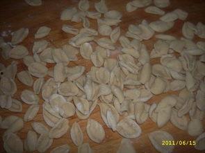 猫耳吃瓜大队,揭秘娱乐圈幕后风云