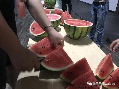 吃瓜大战背景,揭秘网络舆论场的狂欢与争议