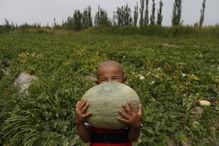 壁纸吃瓜群众深色,揭秘网络舆论背后的心理世界