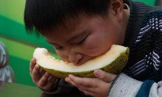 写吃哈密瓜作文,哈密瓜的甜蜜之旅