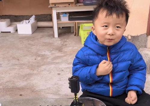 吃瓜小奇奇,揭秘娱乐圈那些不为人知的幕后故事