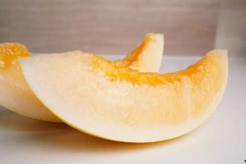 吃蜜瓜像喝水,尽享夏日清凉