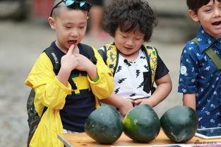 萌娃吃瓜趣事,欢乐趣事一箩筐