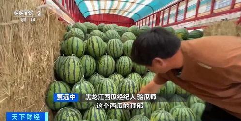 宁波教师吃瓜事件,校园风波背后的真相与反思