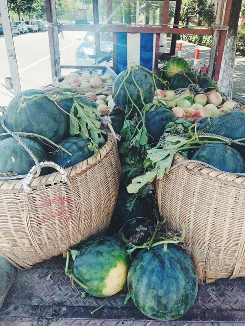 请大家吃瓜图片,揭秘网络热议背后的真相